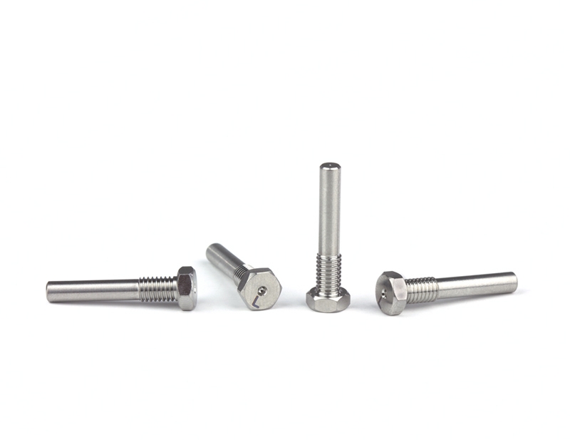 Lower Titanium Shock Pin Screws | 8th
