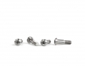TLR 22 King Pin Screws | Titanium | 4pcs