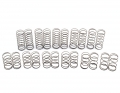 13mm Precision Carpet Springs | F/R Set